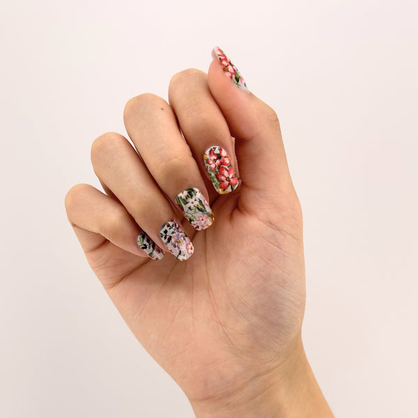 Summer Bloom