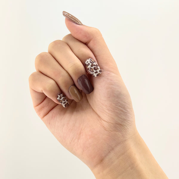Mocha Leopard