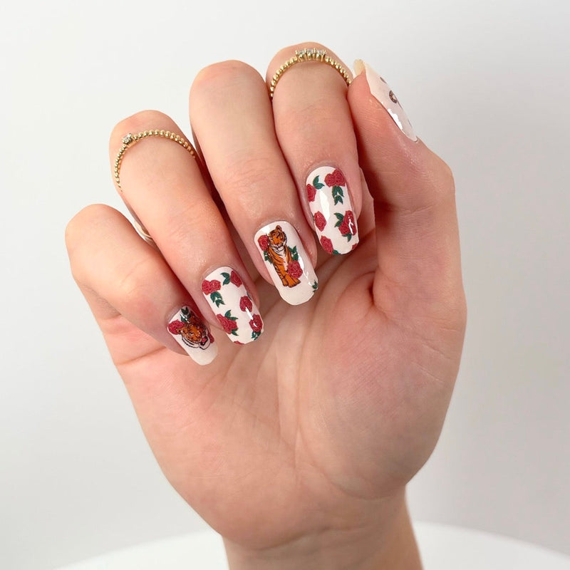 Tiger Rose