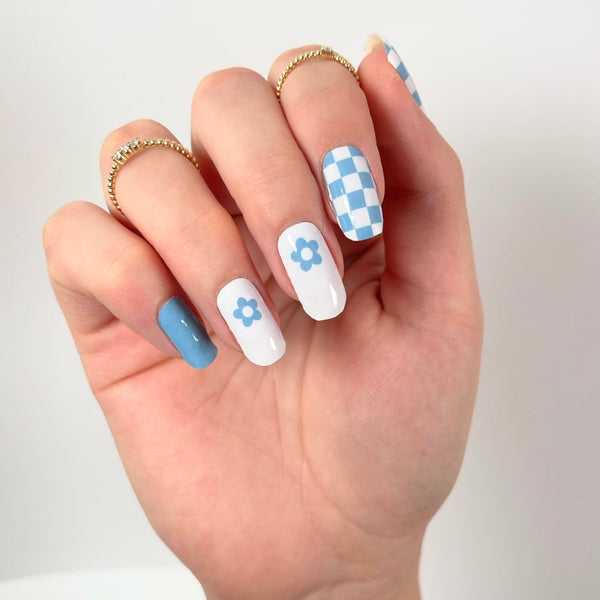 Checkered Daisy