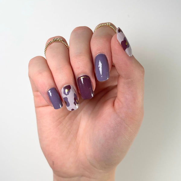 Purple Leopard