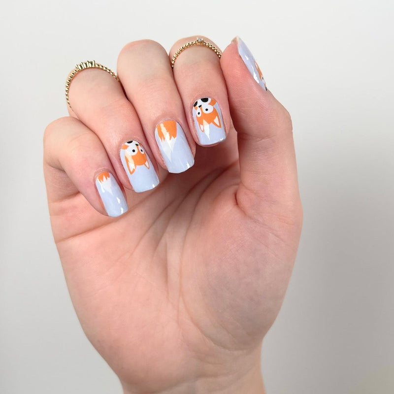 Foxy