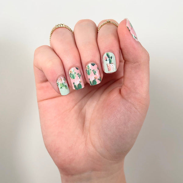 Cactus